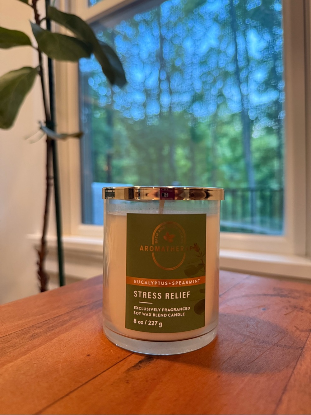 Bath & Body Eucalyptus + Spearmint Aromatherapy Stress Relief Candle